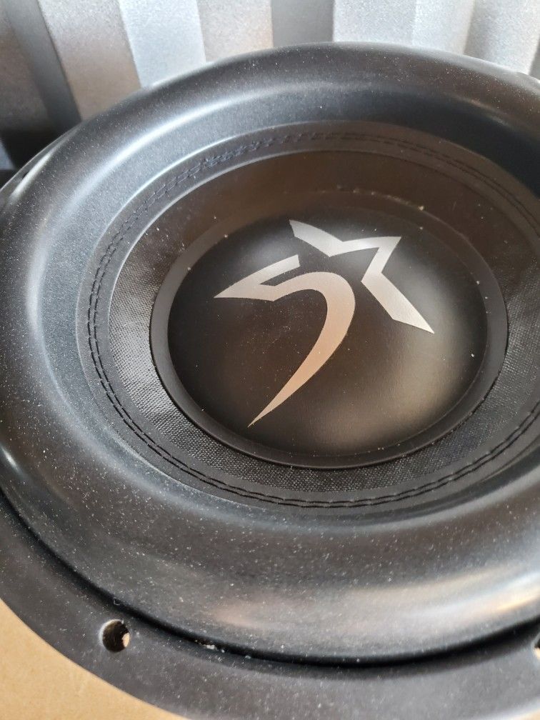 12" Custom Subwoofers And Custom Box