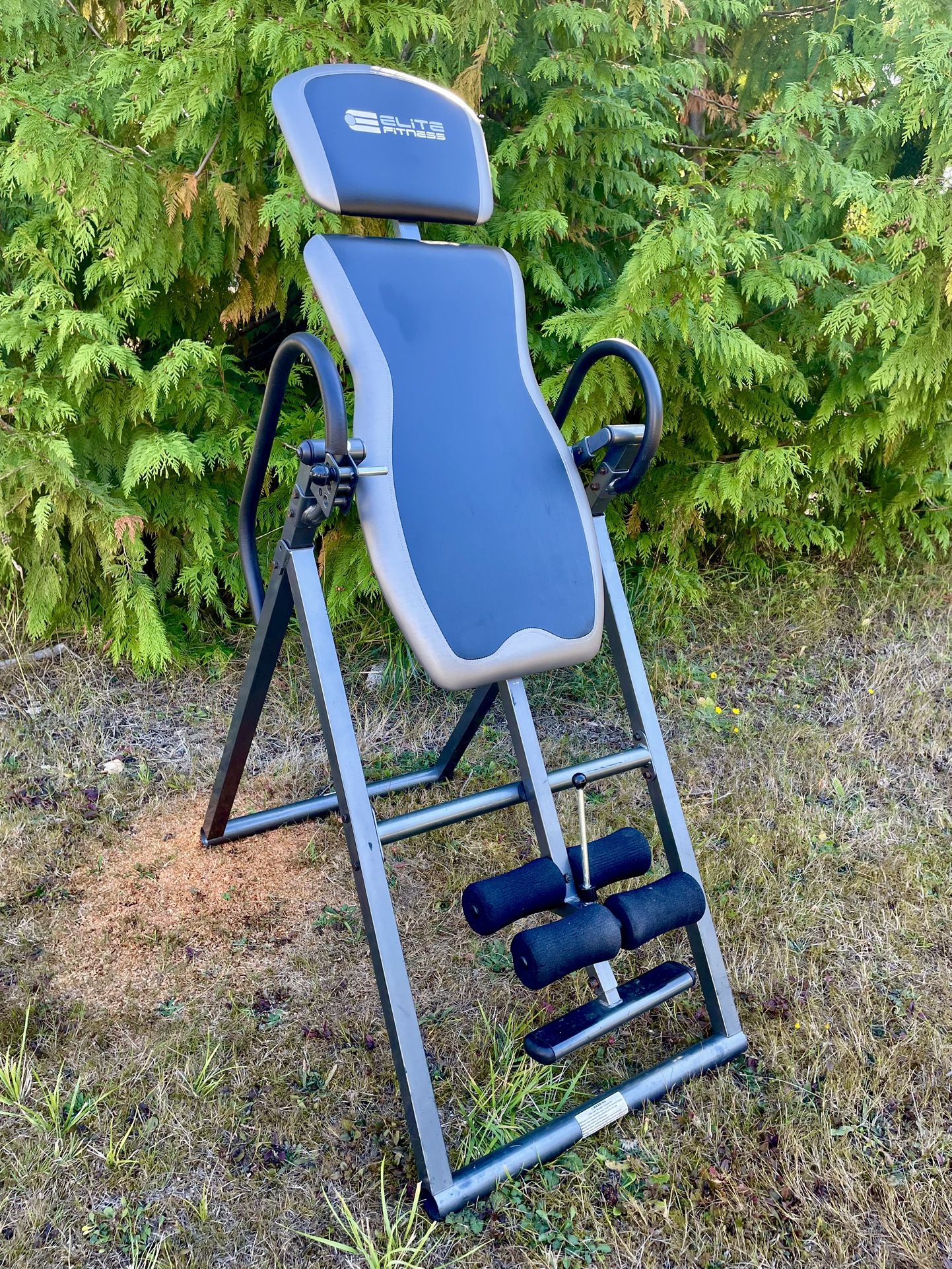 Inversion Table