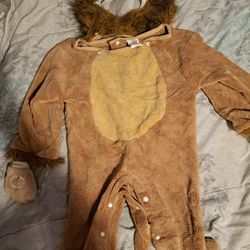 Baby Lion