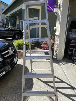 6’ Werner Ladder