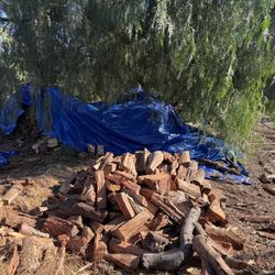 Firewood 