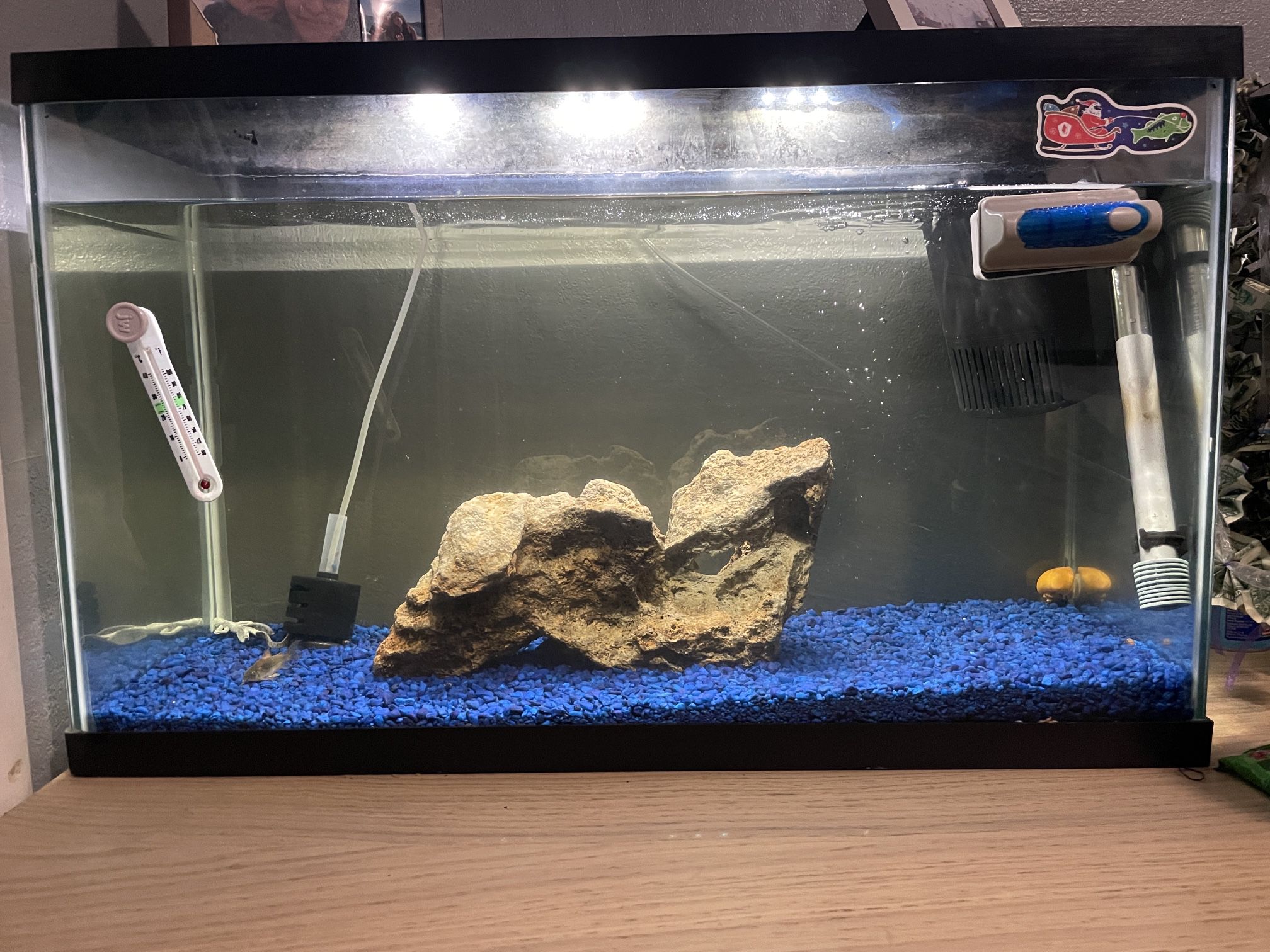 40 Gallon Fish Tank With Filter Rock And Heater