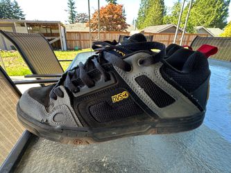 Skater DVS shoes size 10