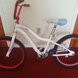 Schwinn 20in girl's Bicycle FREE NYC PICK UP! Read  Description!!!