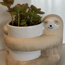 Adorable Sloth Planter with Plant