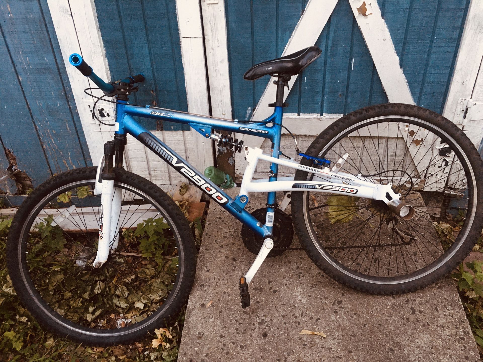 29 inch mountain bike custom