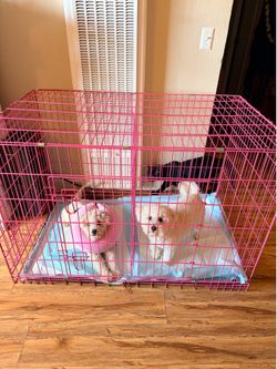 Large dog crate