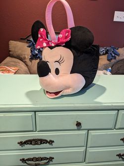 Minnie Mouse Carrier