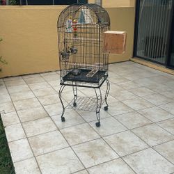 Birdcage