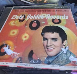 Albums
