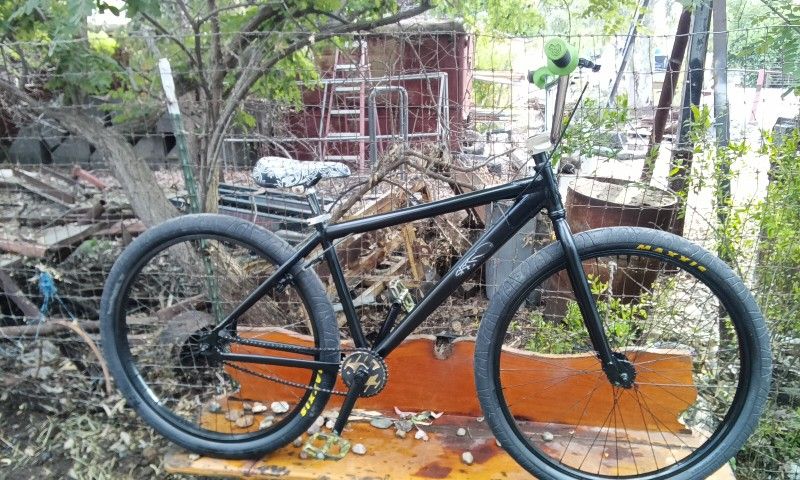 29in Custom Throne With Steve-o Autograph