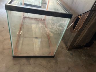 Standard 10 gallon tank