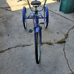 3 Wheel Bicycle 