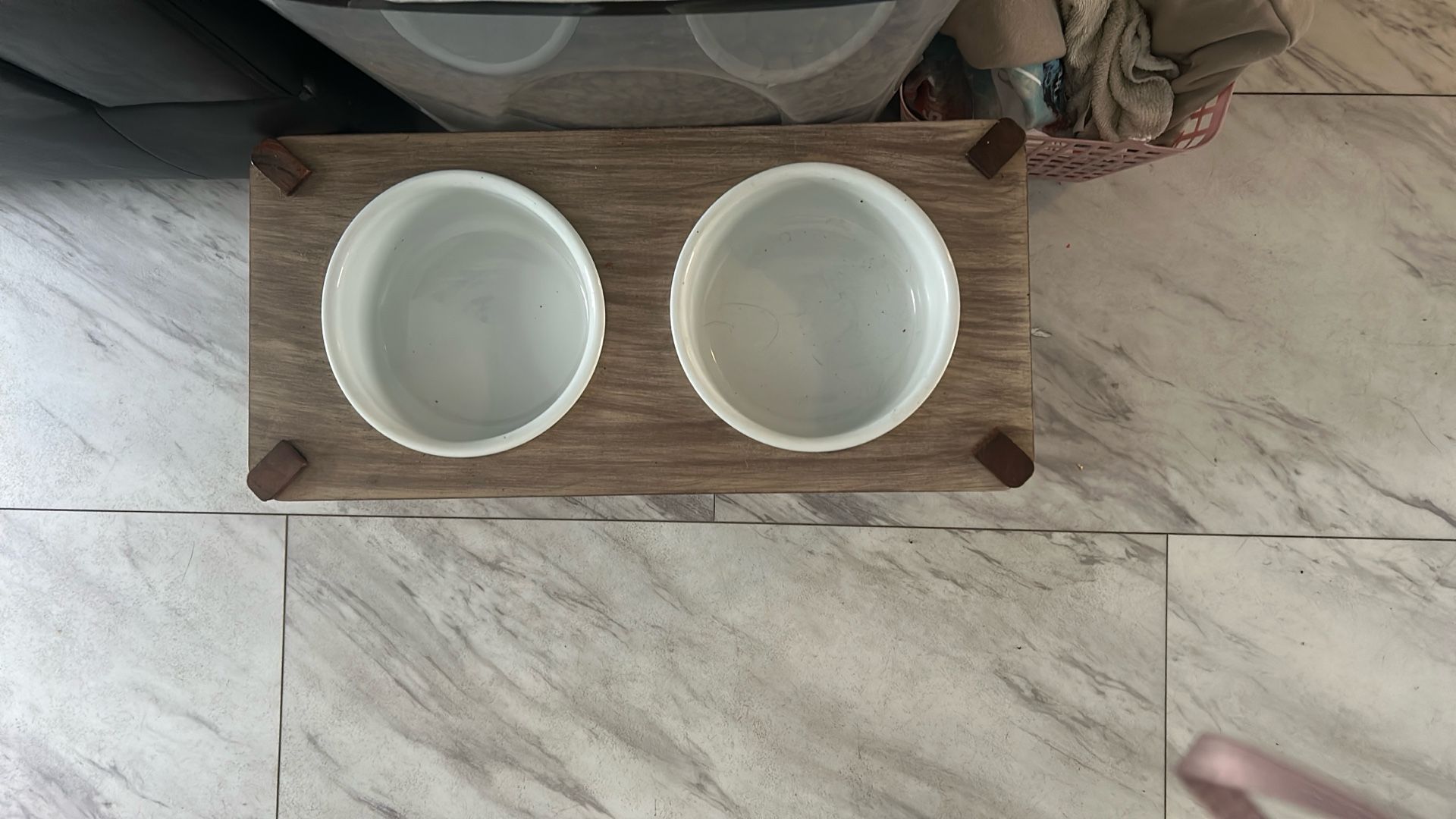Dog Bowls