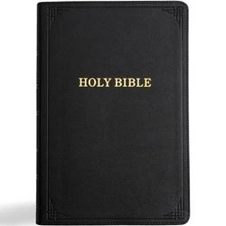 Free Bibles!
