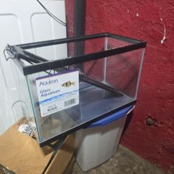 10 Gallon Fish Tank With Light