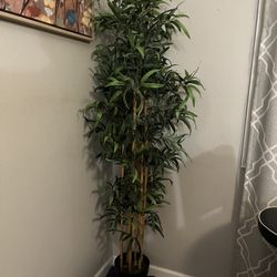 5 Ft Tall Bamboo Furnishing Plant IKEA 
