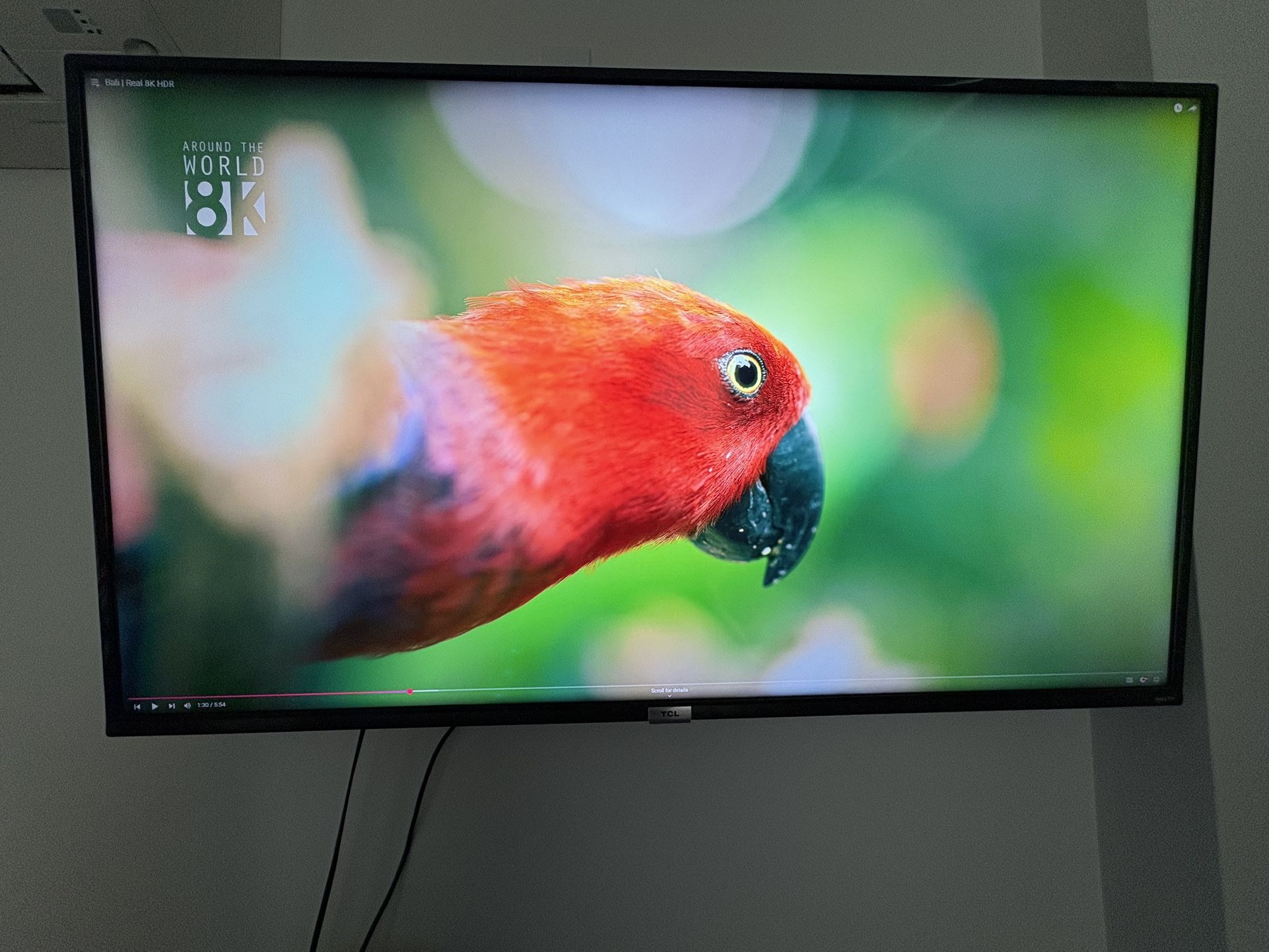 TCL 50S435 Roku TV