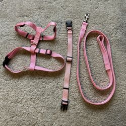 DOG HARNESS AND LEASH