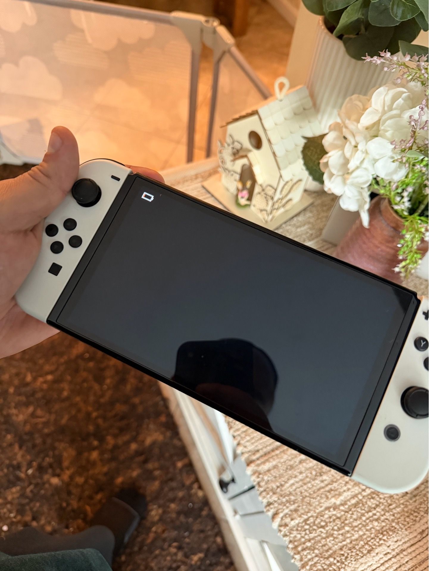 Switch OLED