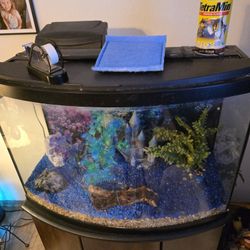 35gal Fish Tank  All You  See  
