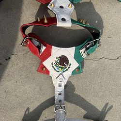 Mexico Dog hardness it’s LV