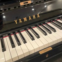 Yamaha wx-30