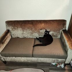 Gray Two Person Couch