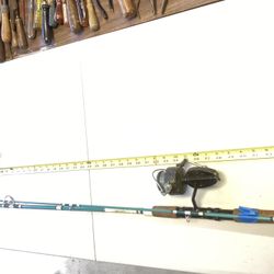 Fishing Pole Including Reel