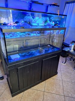 Fish Tank