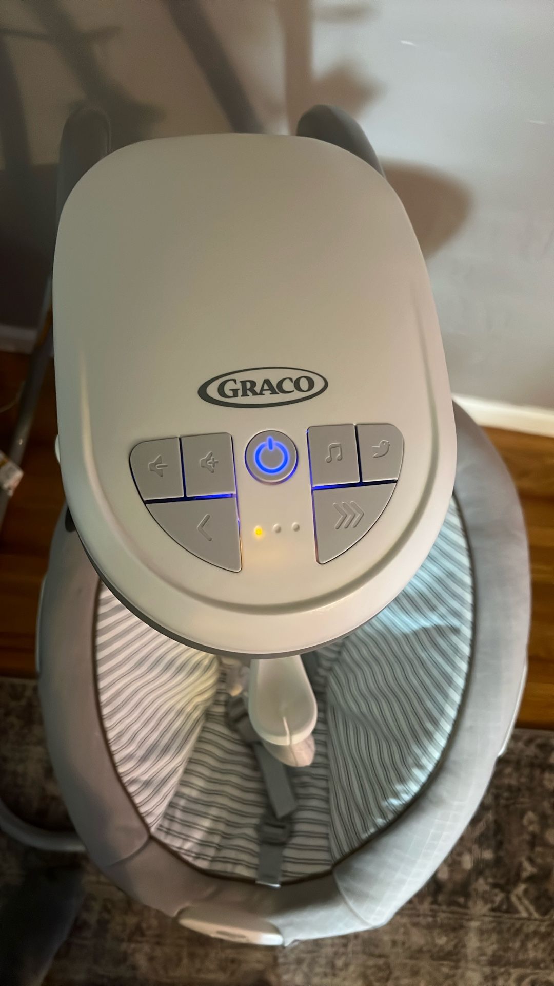 Graco Baby Swing And Bouncer