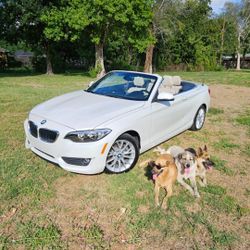 2015 BMW 228i