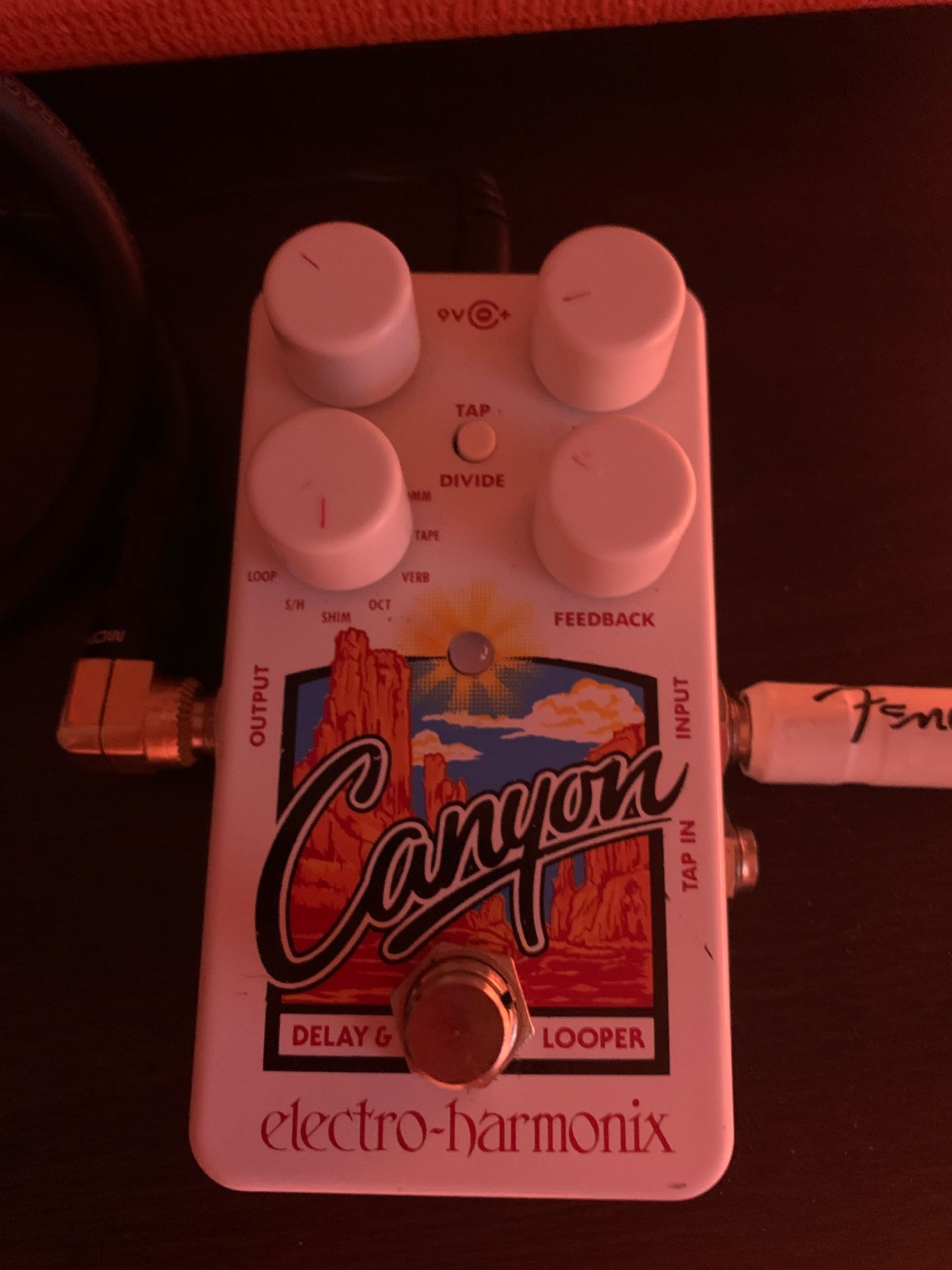 Electro-Harmonix Canyon Delay