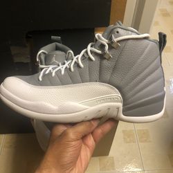 Jordan 12 Stealth; Size 10