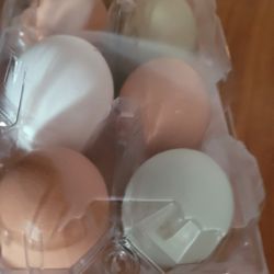 Fresh Eggs