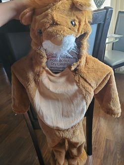 Lion costume