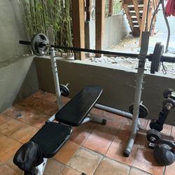  Weight Bench For Home Gym