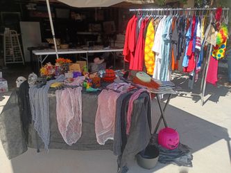 Halloween Decorations and DIY Costumes $1 each