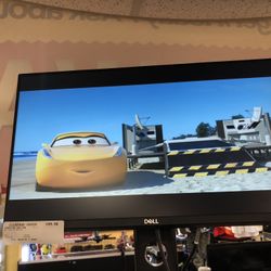 22” Dell Computer Monitor 