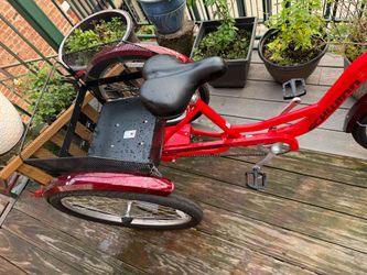 🚲 Schwinn Meridian Tricycle – LIKE NEW 🚲