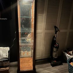 Curio Cabinet With Light