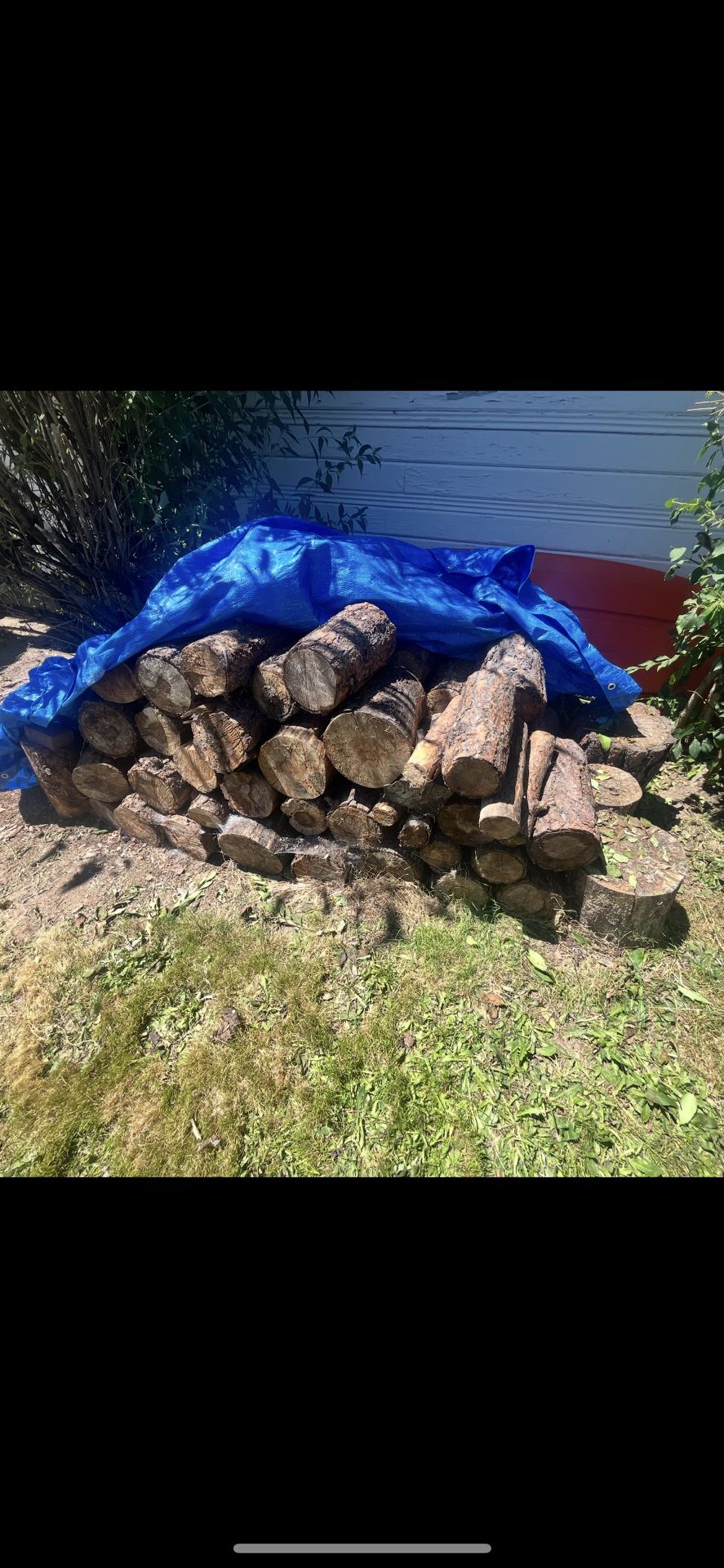 Great Firewood