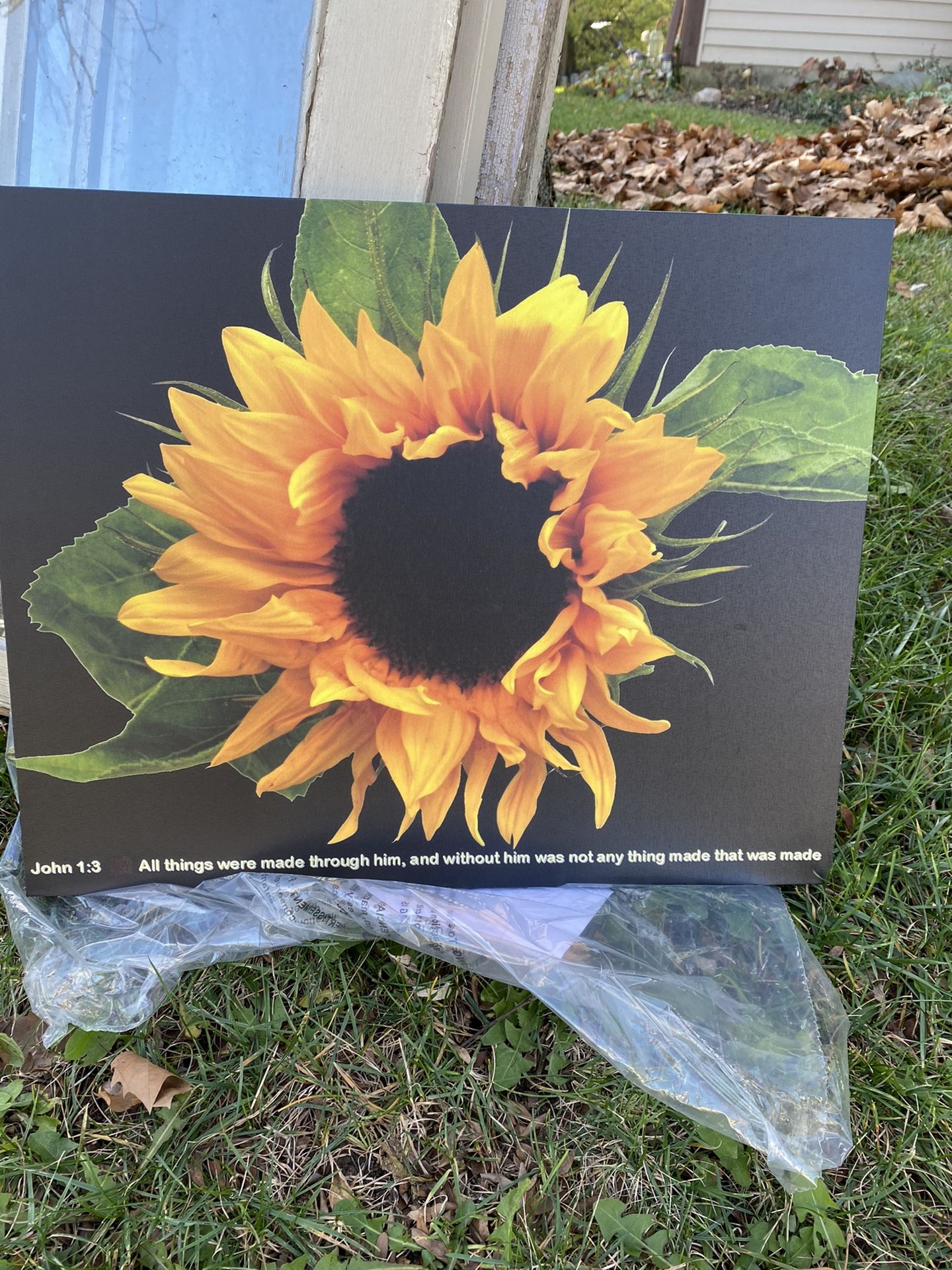 Sunflower Canvas print $15