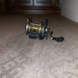 Daiwa Fishing Reel