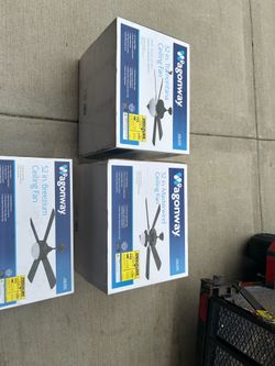 55$ for all of them