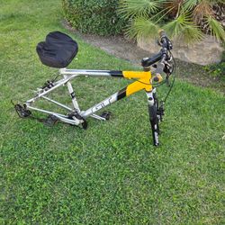 GT AVALANCHE 2.0 Frame!