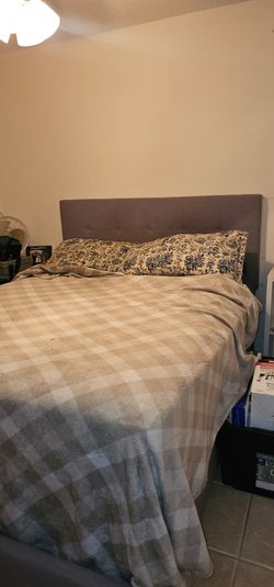 Queen Grey fabric bed, matress and box spring