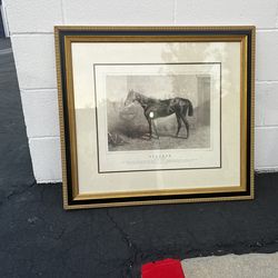 Beautiful accent photo for equestrian lover.