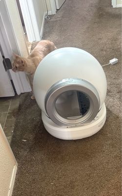 Tucker Murphy Pet Self cleaning litter box