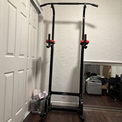 pull up bar + dip